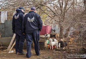Members of the Animal Rescue Corps along with the Ohio County Sheriff's Department removed 54 animals from a Whitesville residence on Friday.
